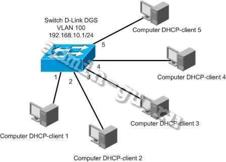 dlink-dhcp-server