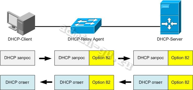 dhcp-relay-option82